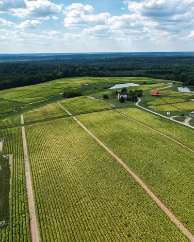 Farm landscape in North Carolina