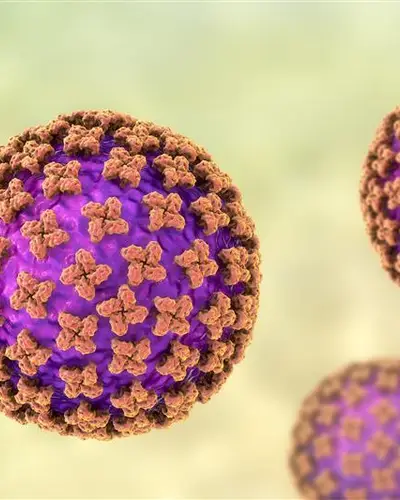Microscopic image of virus that is colorful with orange and purple colors