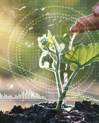 Closeup of a plant growing from the ground, with an overlay of graphs and other imagery to illustrate the links between technology and agriculture.