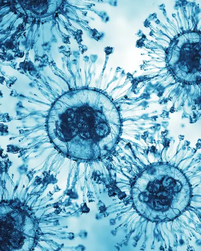 Virus cells viewed through microscope 