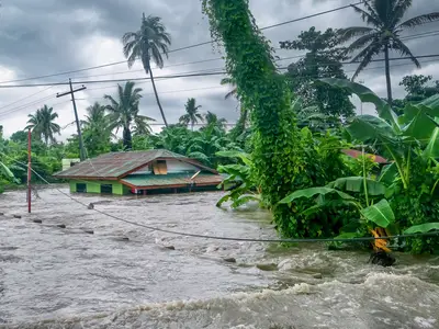 A green house partially submerged in floodwaters, surrounded by palm trees and lush vegetation.