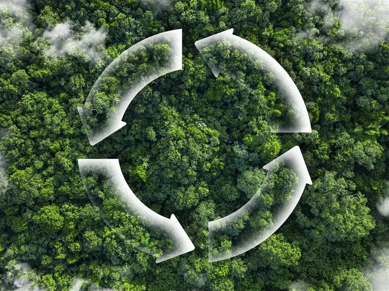 Recycle concept with aerial view of trees