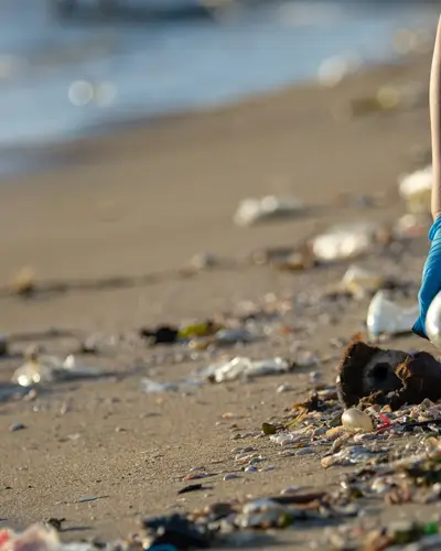 Person with gloves on picking up trash along the shoreline 