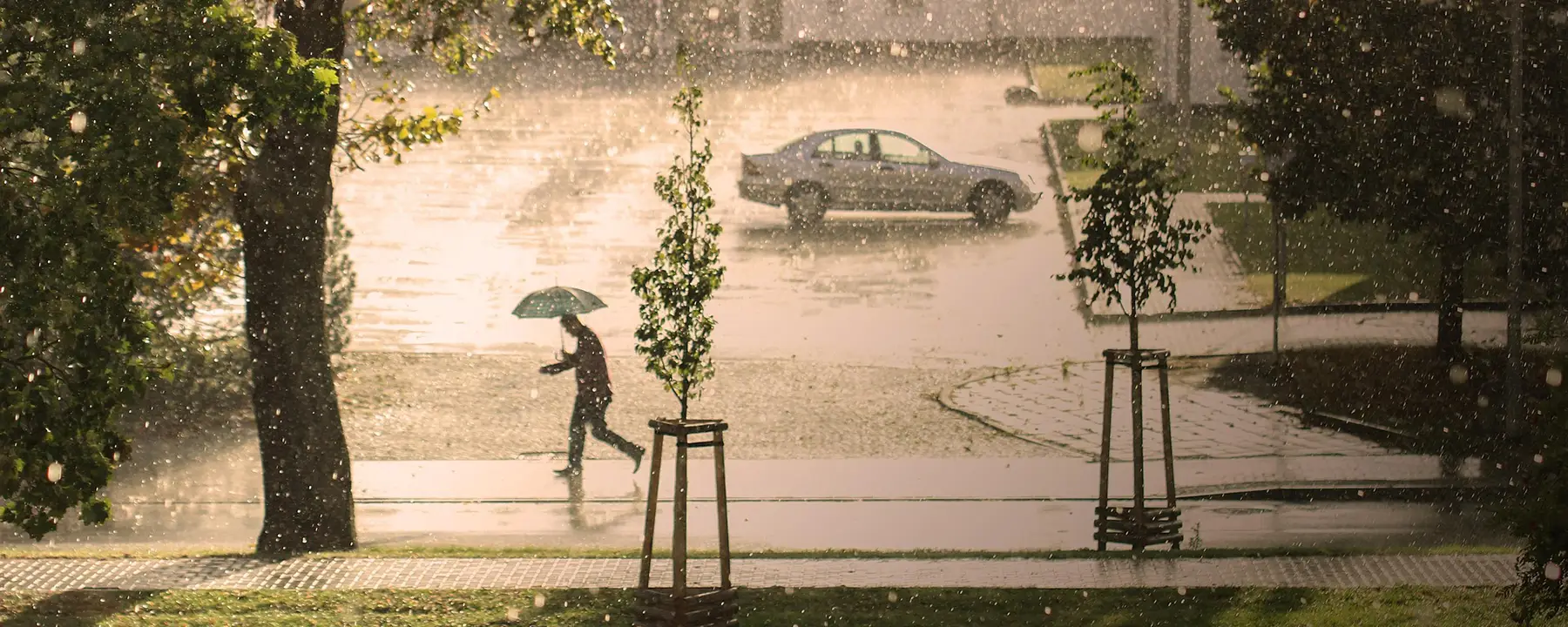 A person walking in the rain holding an umbrella. Image by Gundula Vogel from Pixabay