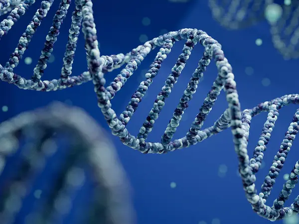 Illustration of a DNA molecule.