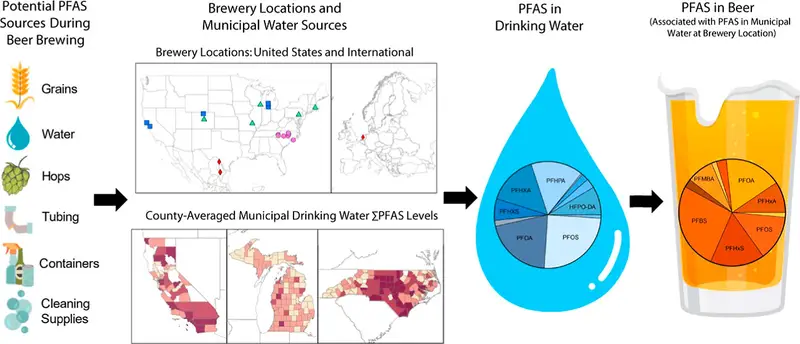 Figure from study describing how PFAS can contaminate beer