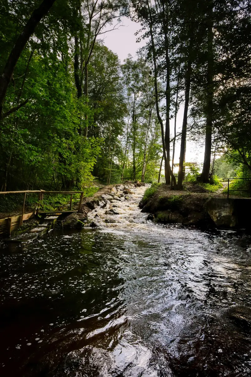 Water flowing down into a lake. Image by Albrecht Fietz from Pixabay