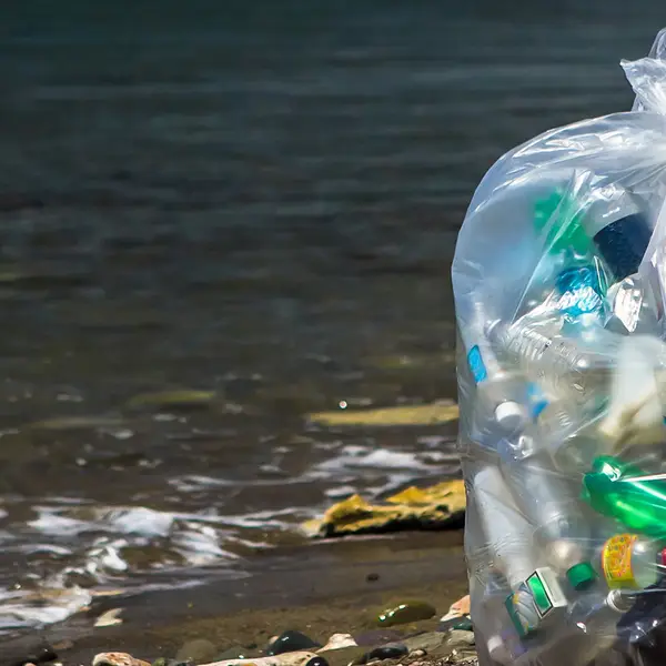 Trash bag in ocean