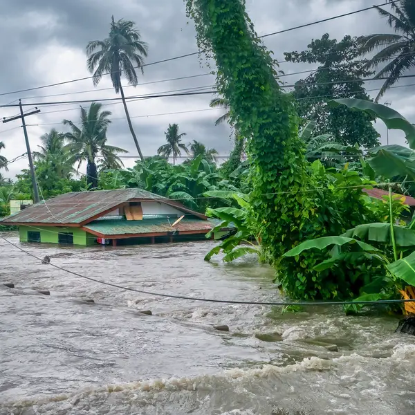 A green house partially submerged in floodwaters, surrounded by palm trees and lush vegetation.