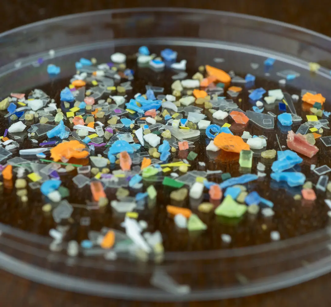 Microplastics