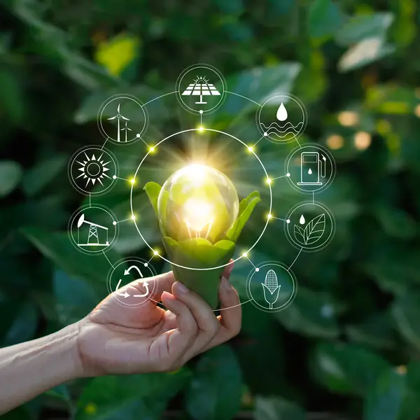Environment and climate