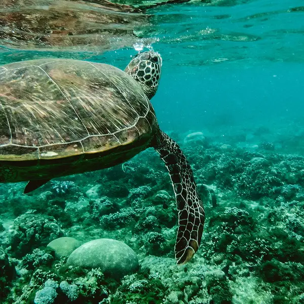 Philippines