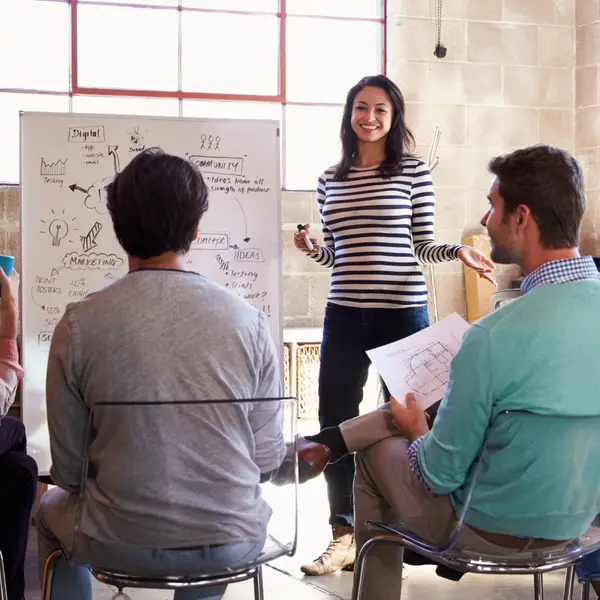 Survey focus group