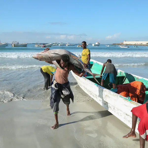 The crew of a fishing boat in Somalia hauls in a large fish.