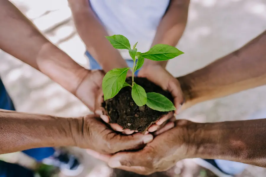 group of people holding a plant