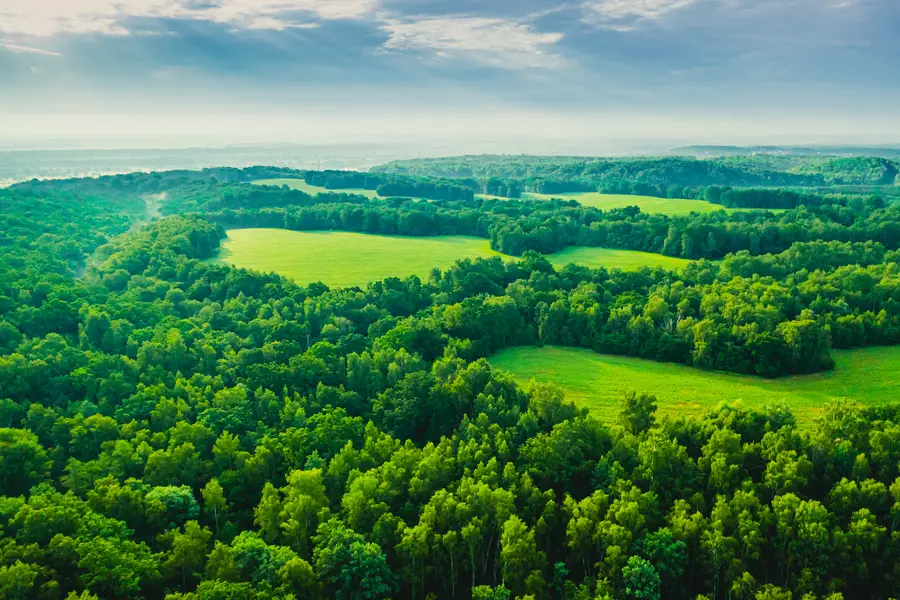 Aerial land view