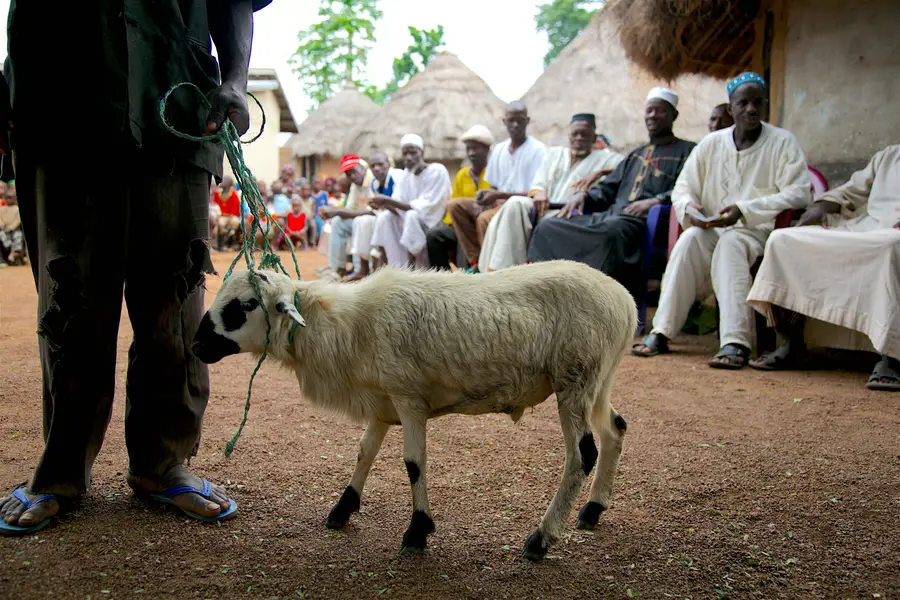 Goat with string used as a leash around its neck. People sitting in the background.