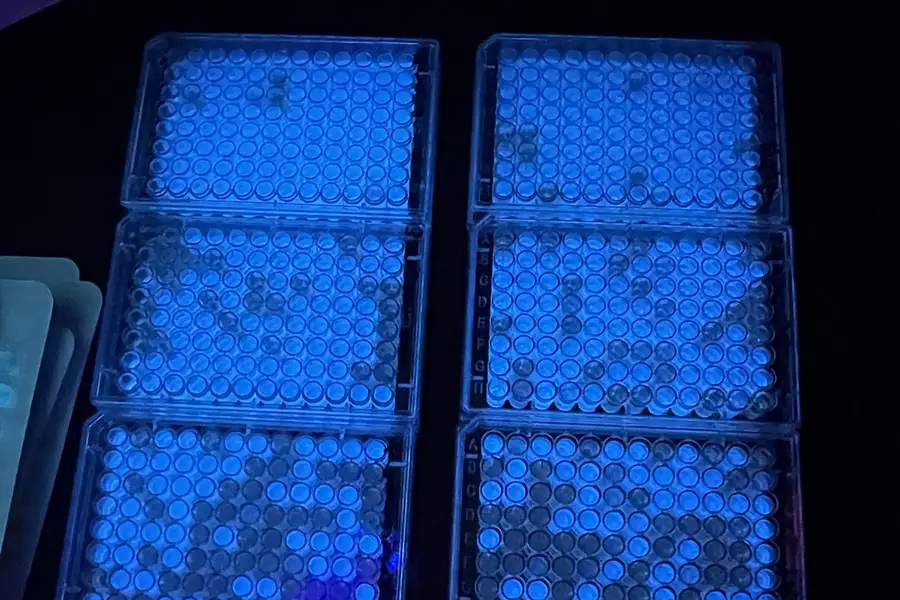 Glowing test tubes