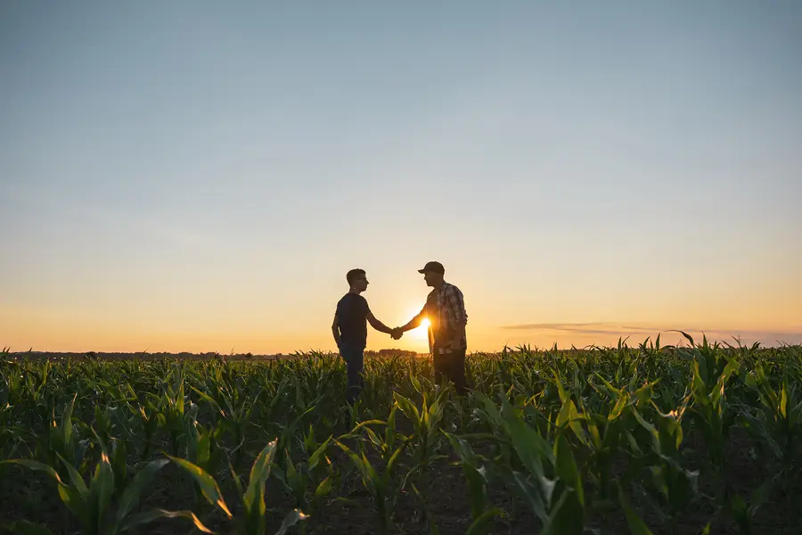 Two men shaking hands in a corn field