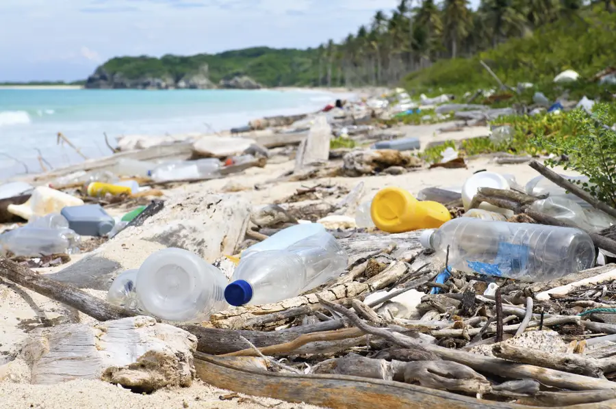 Plastic bottles litter a scenic beach.