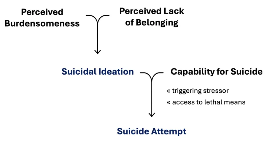 Adapted from the Interpersonal-Psychological Theory of Suicide