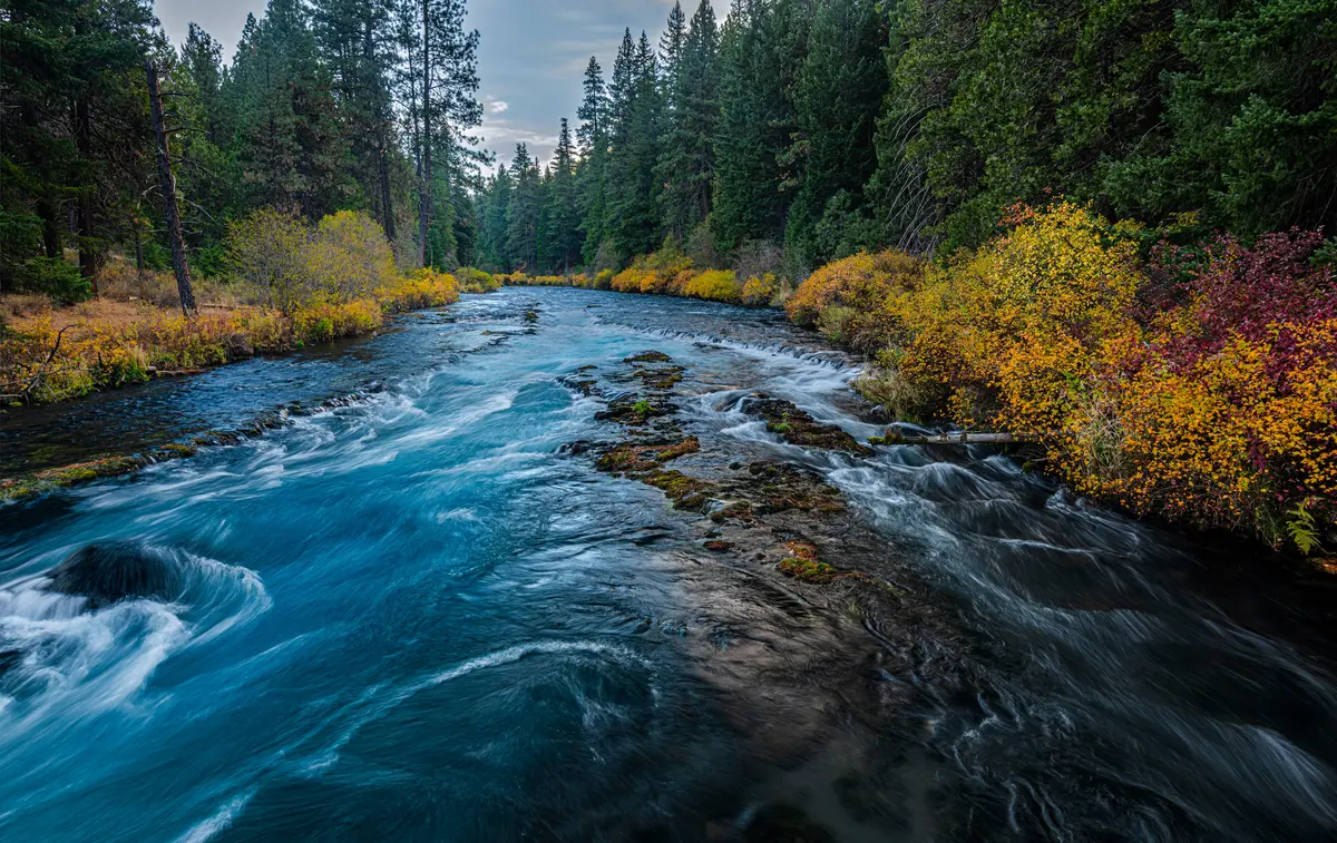 River in woods