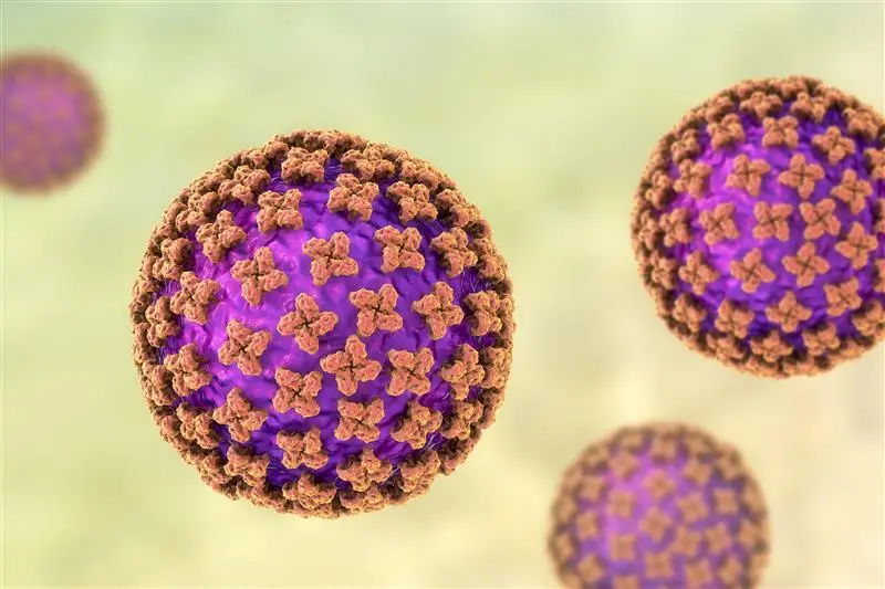 Microscopic image of virus that is colorful with orange and purple colors