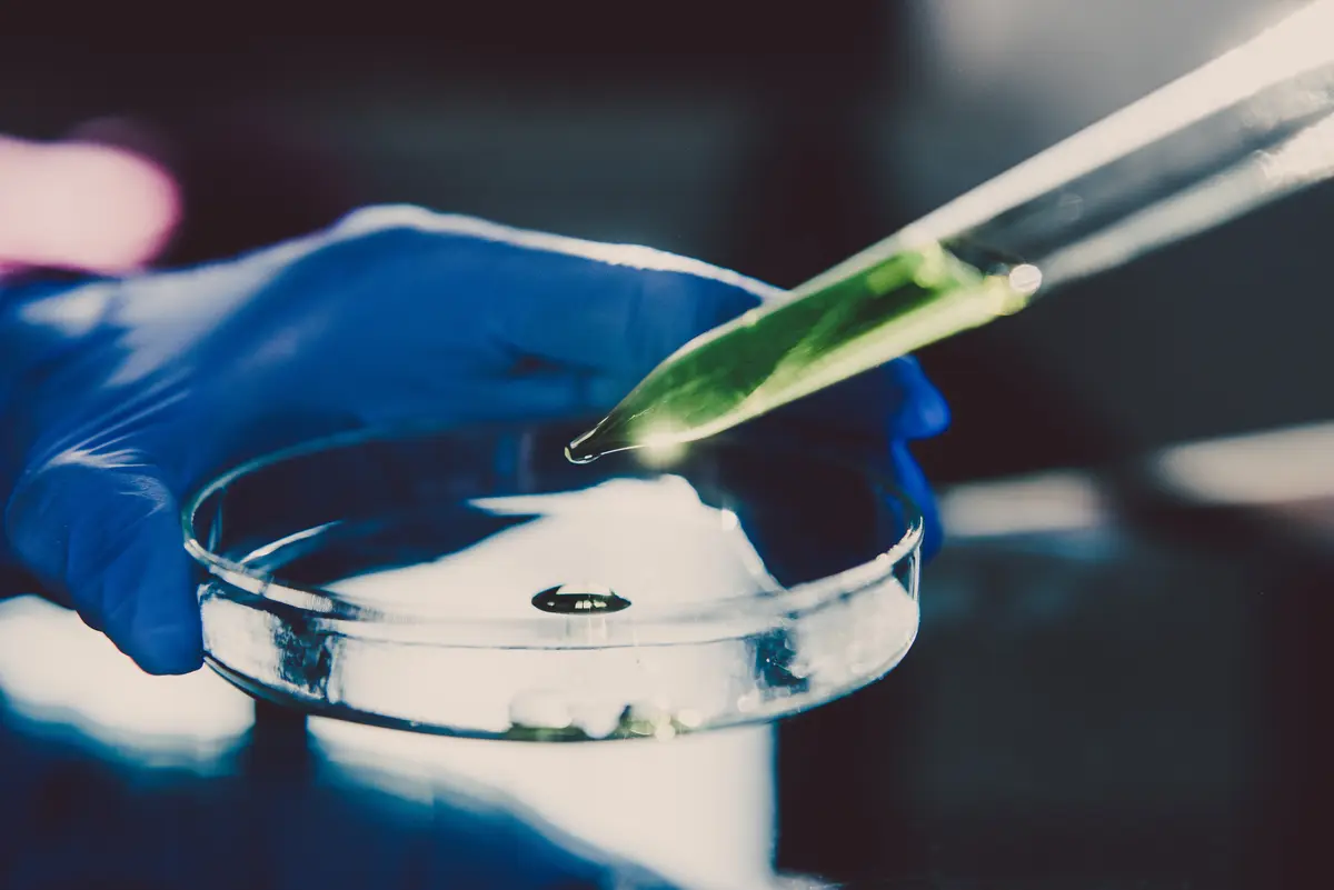 Image of pipette and petri dish.