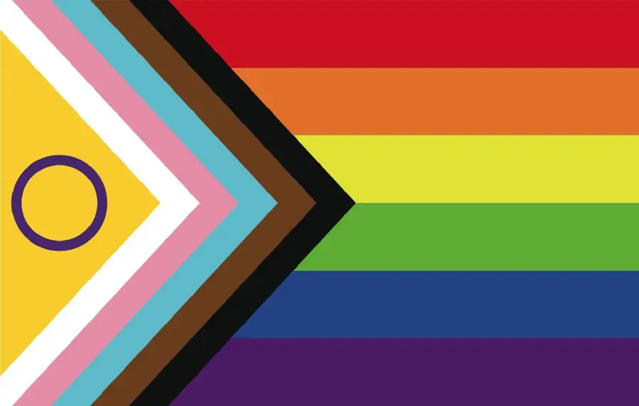 image of the lgbtqia+ flag