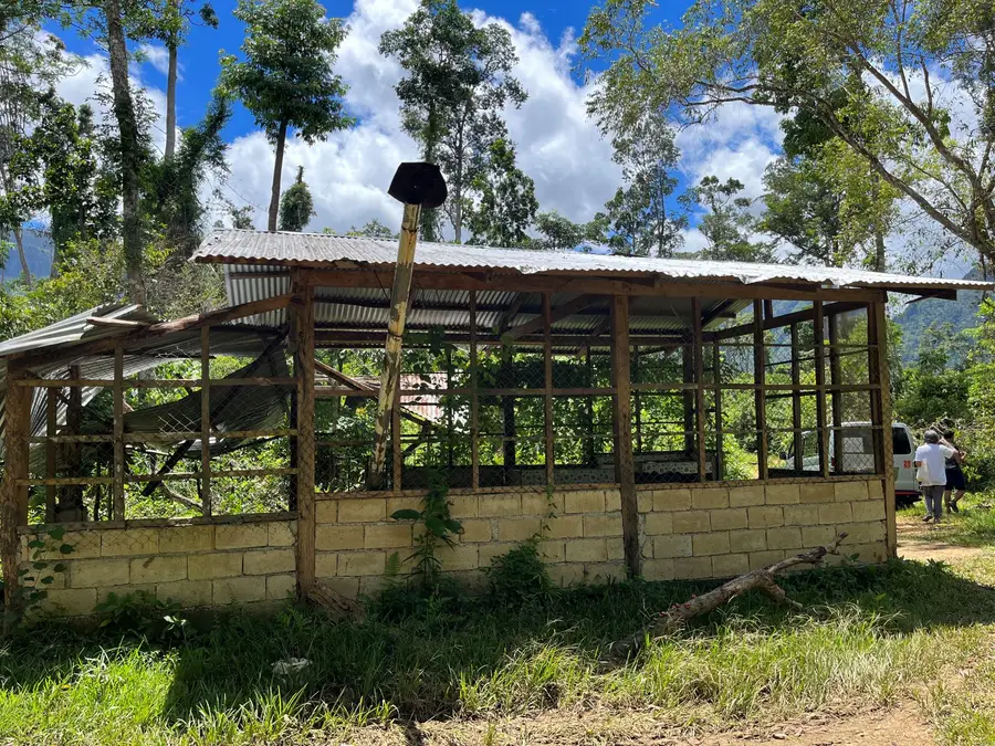 Illegal slaughterhouse-Philippines 