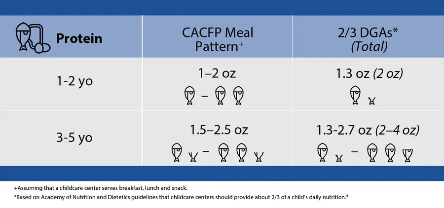 Chart shows dietary recommendations for protein in child care centers