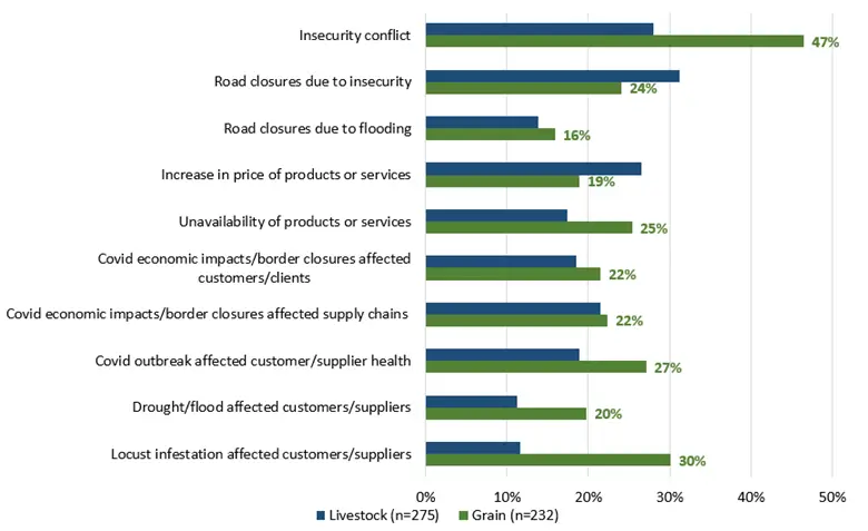 Chart shows conditions affecting the grain and livestock market in Somalia.