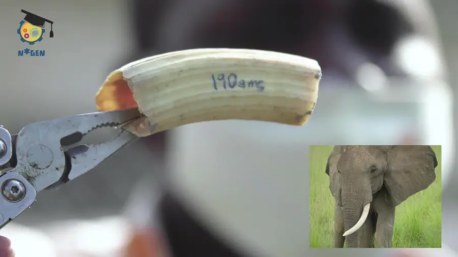 N*Gen is the first Pan-African science show aimed at reaching both kids and families.