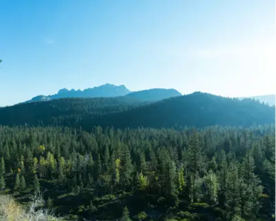 Landscape with trees, mountains