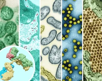 RTI to lead coordination of ReVAMPP | RTI