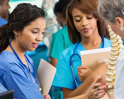 Nursing students examine a model of the spine