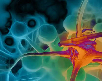 cancer cell
