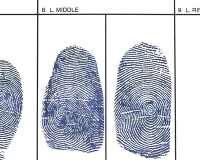 fingerprint card
