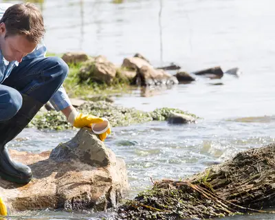 Water Quality Testing