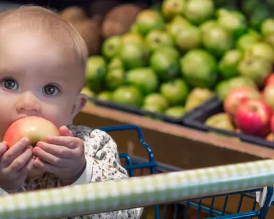 A baby eats fruit while riding in a shopping cart