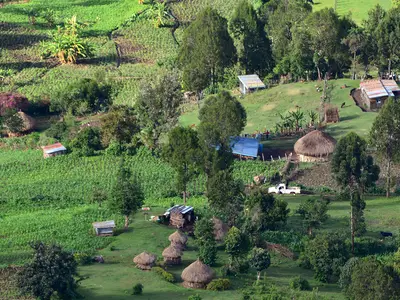 Kenya farm land with animals and crops