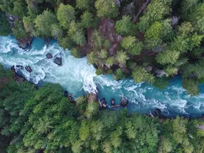 aerial shot of blue river with pine trees