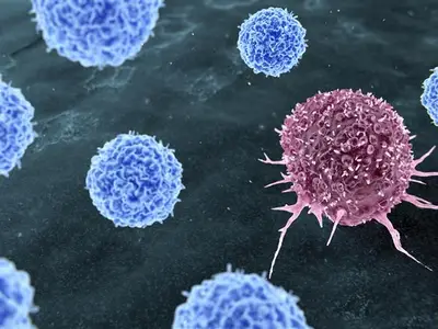 graphic drawing of cells
