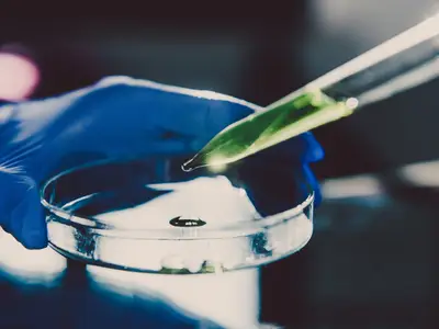 Image of pipette and petri dish.