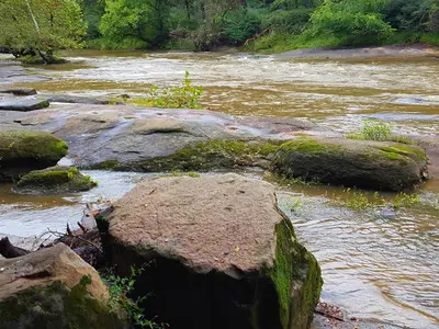 Neuse river in Raleigh, NC. Large rocks with moss along the edge of a moving river.