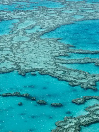 Aerial view of the great barrier reef.