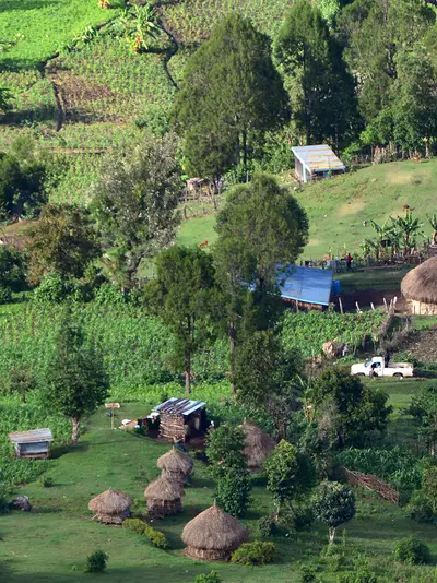 Kenya farm land with animals and crops