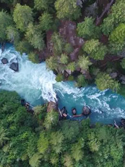 aerial shot of blue river with pine trees