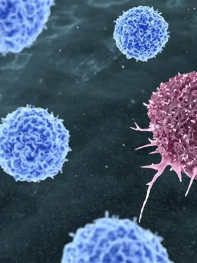 graphic drawing of cells