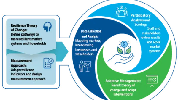 Graphic of the market system resilience approach